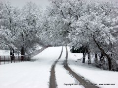 Lucas Road in Snow